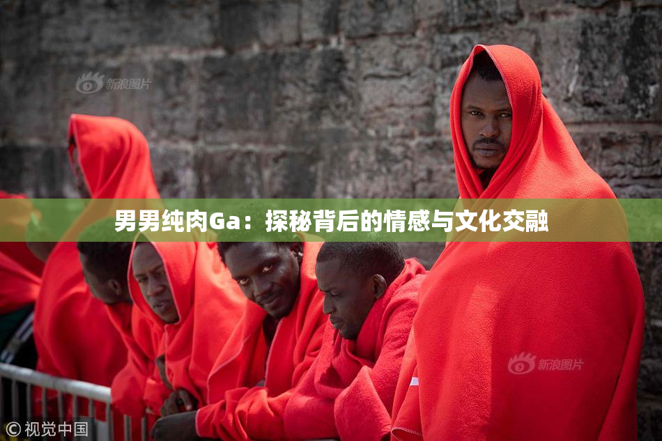 男男纯肉Ga：探秘背后的情感与文化交融