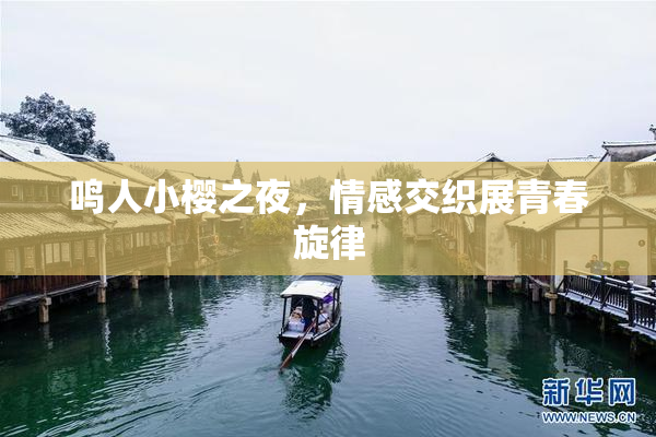 鸣人小樱之夜，情感交织展青春旋律