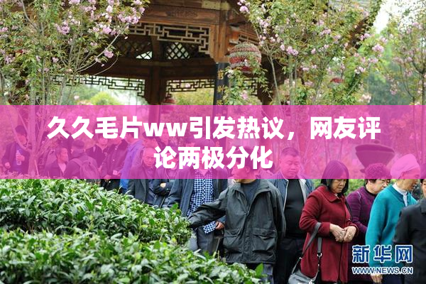 久久毛片ww引发热议，网友评论两极分化