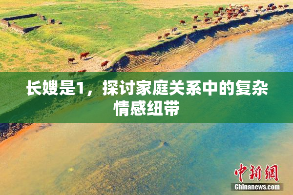 长嫂是1，探讨家庭关系中的复杂情感纽带