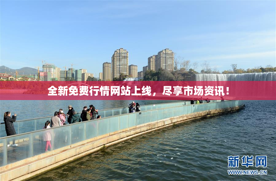 全新免费行情网站上线，尽享市场资讯！