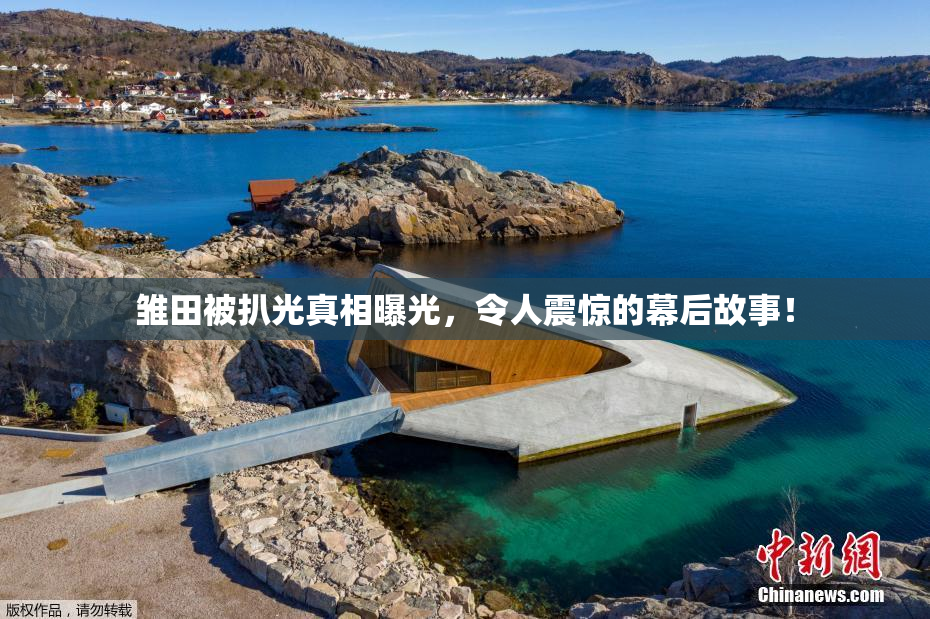 雏田被扒光真相曝光，令人震惊的幕后故事！