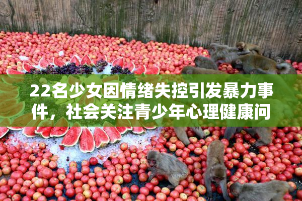 22名少女因情绪失控引发暴力事件，社会关注青少年心理健康问题