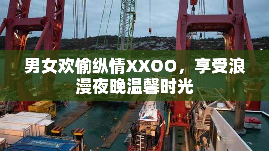 男女欢愉纵情XXOO，享受浪漫夜晚温馨时光