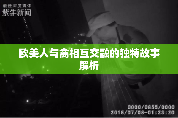 欧美人与禽相互交融的独特故事解析