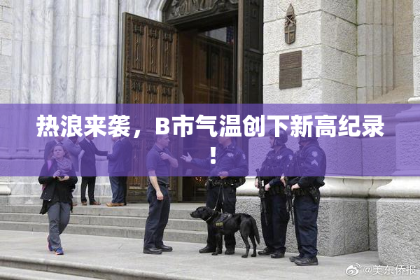 热浪来袭，B市气温创下新高纪录！