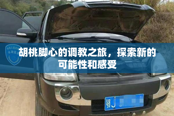 胡桃脚心的调教之旅，探索新的可能性和感受