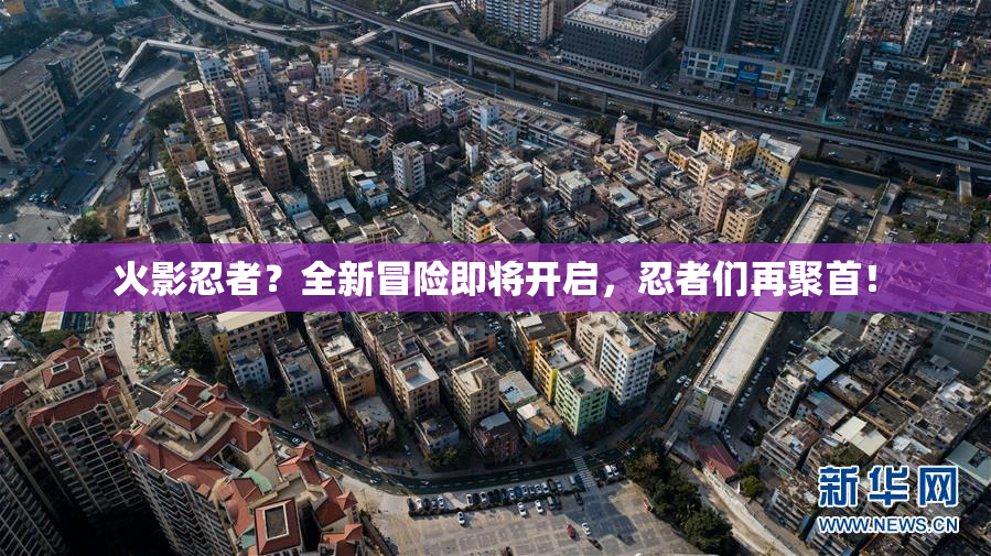 火影忍者？全新冒险即将开启，忍者们再聚首！