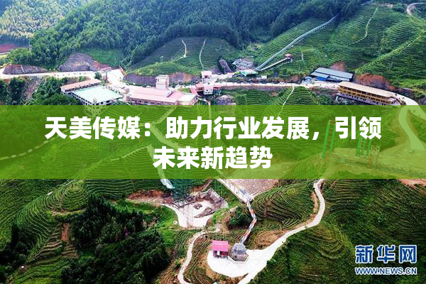 天美传媒：助力行业发展，引领未来新趋势