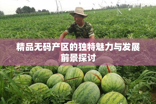 精品无码产区的独特魅力与发展前景探讨