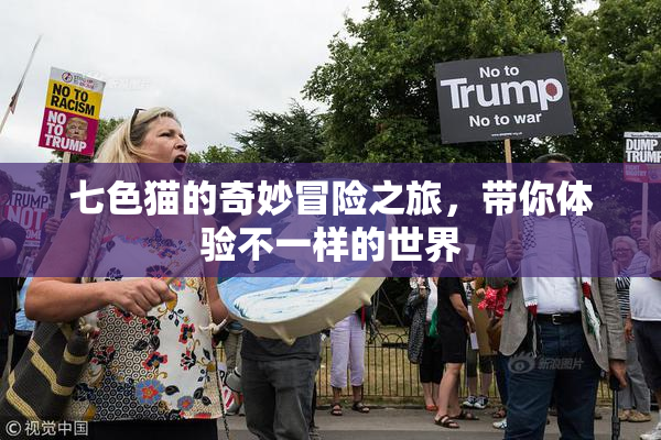 七色猫的奇妙冒险之旅，带你体验不一样的世界