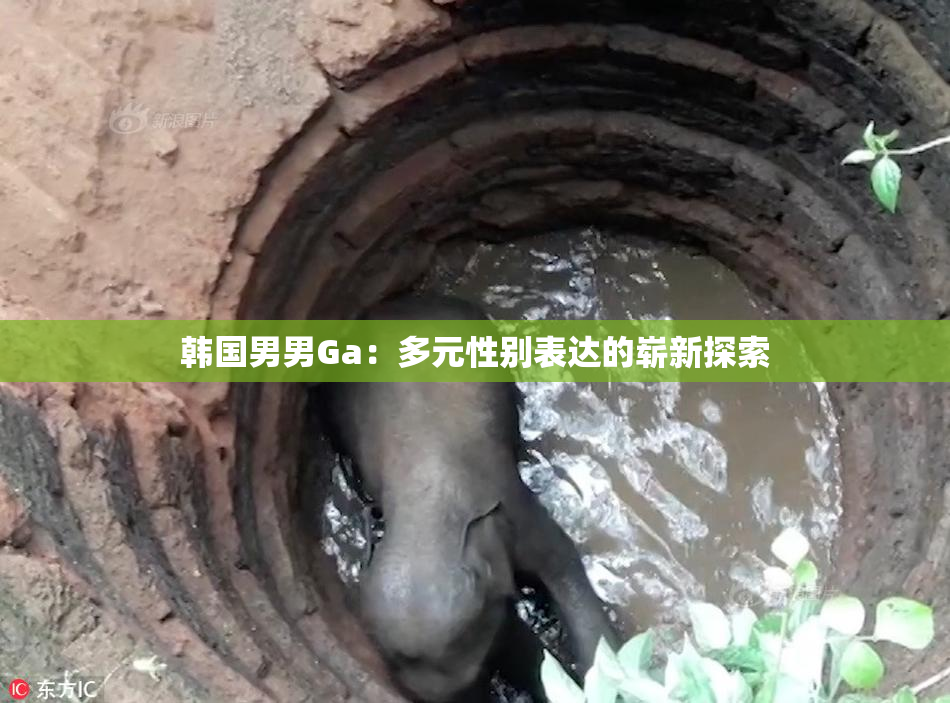 韩国男男Ga：多元性别表达的崭新探索