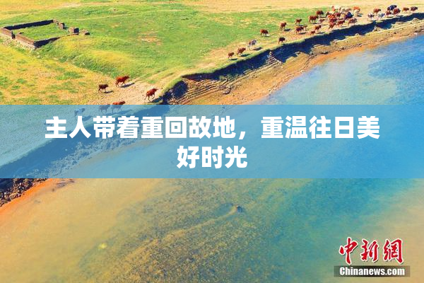 主人带着重回故地，重温往日美好时光