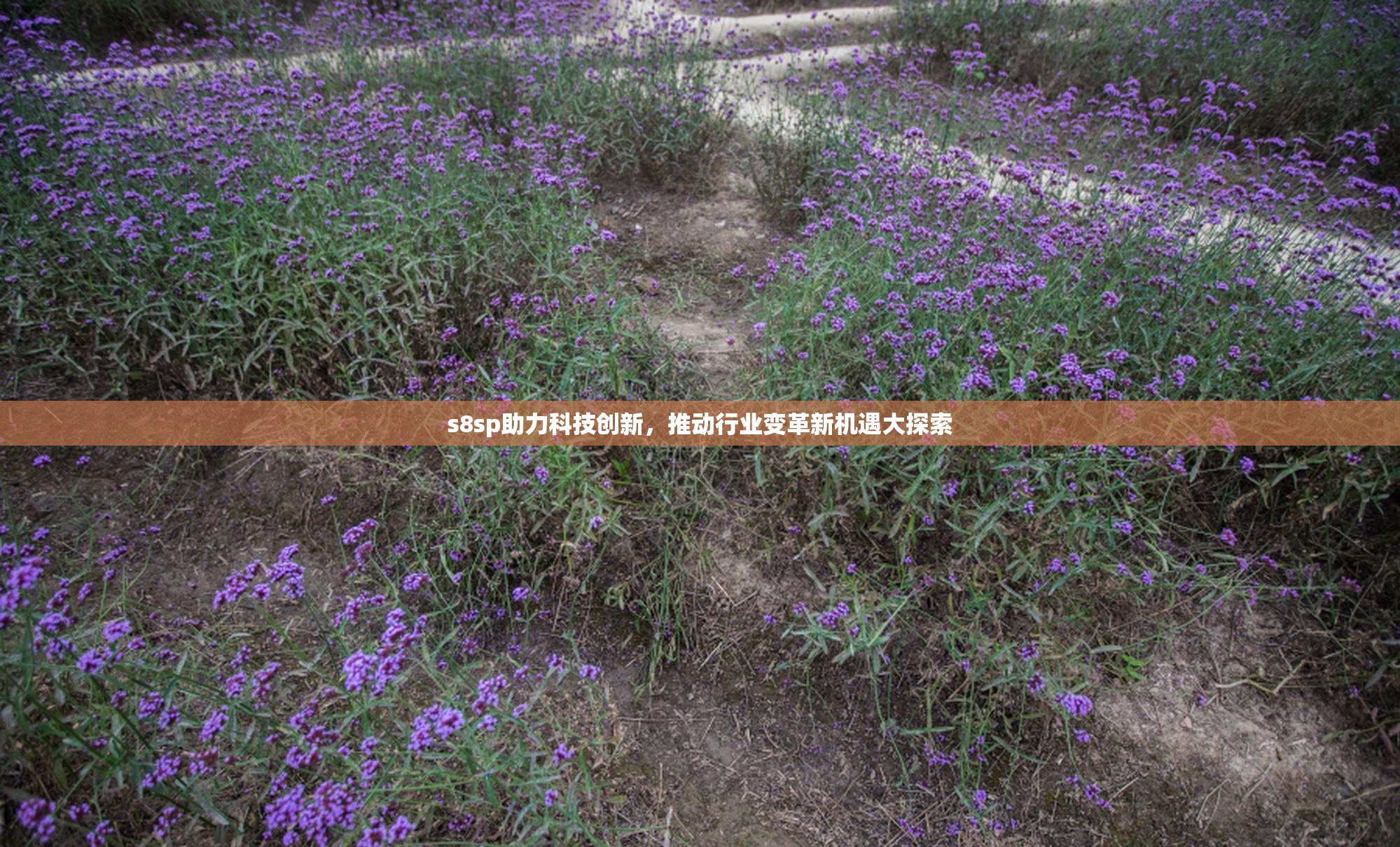 s8sp助力科技创新，推动行业变革新机遇大探索
