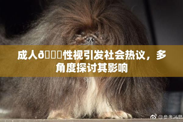 成人🔞性视引发社会热议，多角度探讨其影响