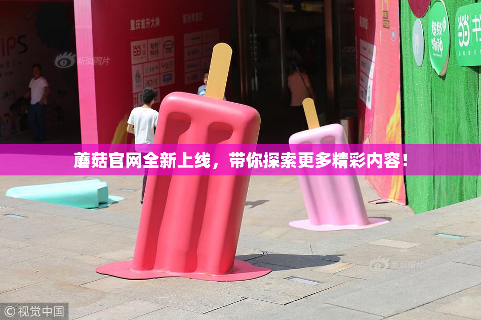 蘑菇官网全新上线，带你探索更多精彩内容！