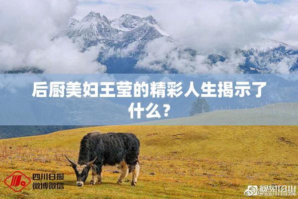 后厨美妇王莹的精彩人生揭示了什么？