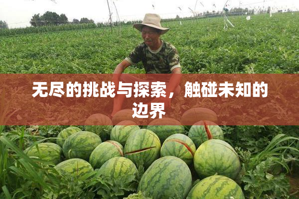 无尽的挑战与探索，触碰未知的边界
