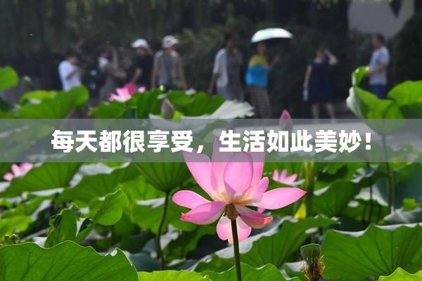 每天都很享受，生活如此美妙！
