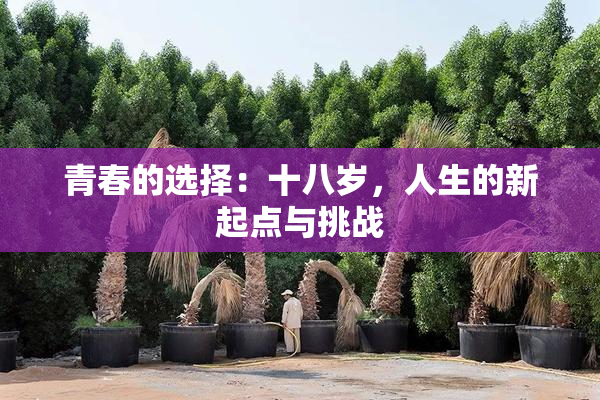 青春的选择：十八岁，人生的新起点与挑战