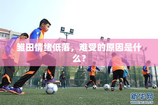 雏田情绪低落，难受的原因是什么？