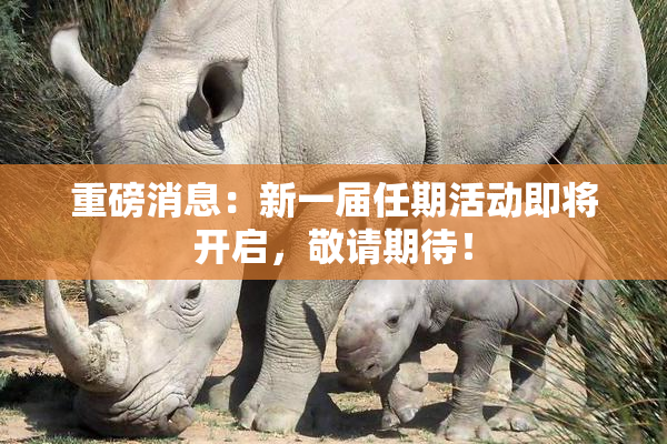 重磅消息：新一届任期活动即将开启，敬请期待！