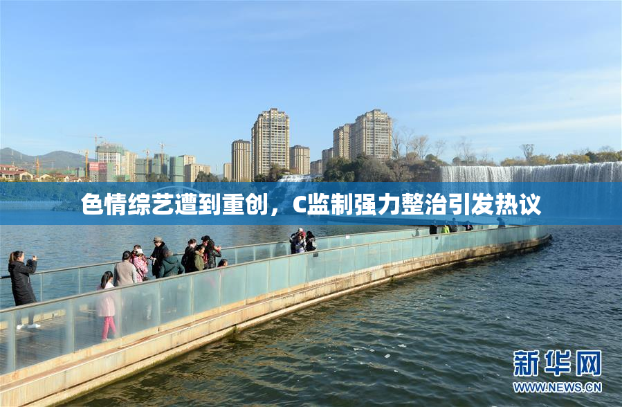 色情综艺遭到重创，C监制强力整治引发热议