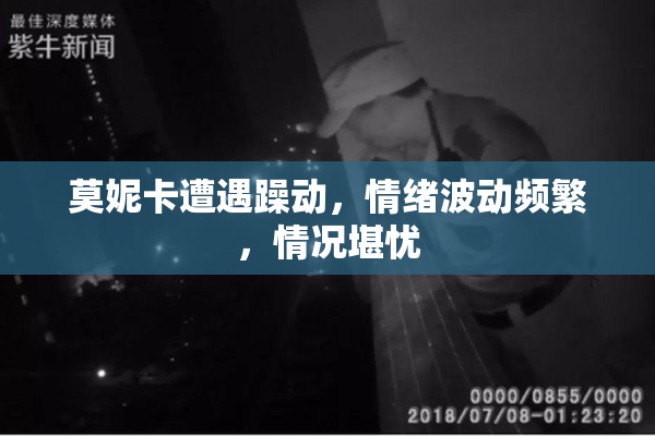 莫妮卡遭遇躁动，情绪波动频繁，情况堪忧