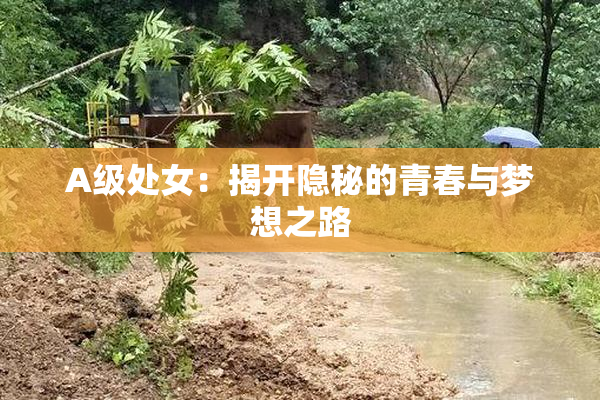 A级处女：揭开隐秘的青春与梦想之路