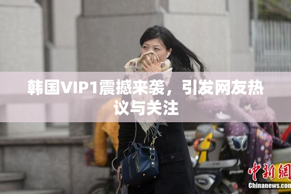 韩国VIP1震撼来袭，引发网友热议与关注