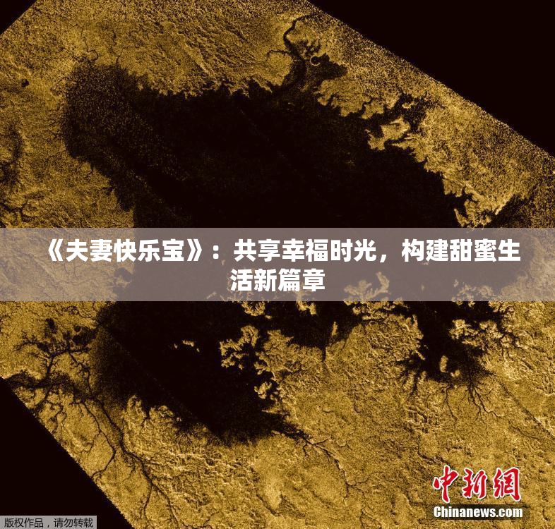 《夫妻快乐宝》：共享幸福时光，构建甜蜜生活新篇章