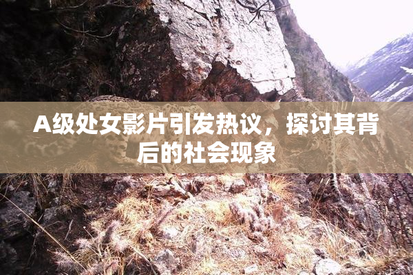 A级处女影片引发热议，探讨其背后的社会现象