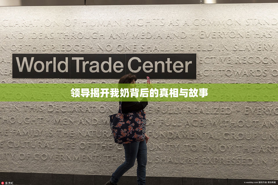 领导揭开我奶背后的真相与故事