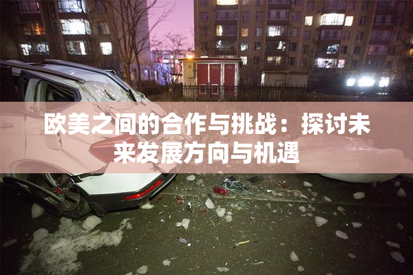欧美之间的合作与挑战：探讨未来发展方向与机遇