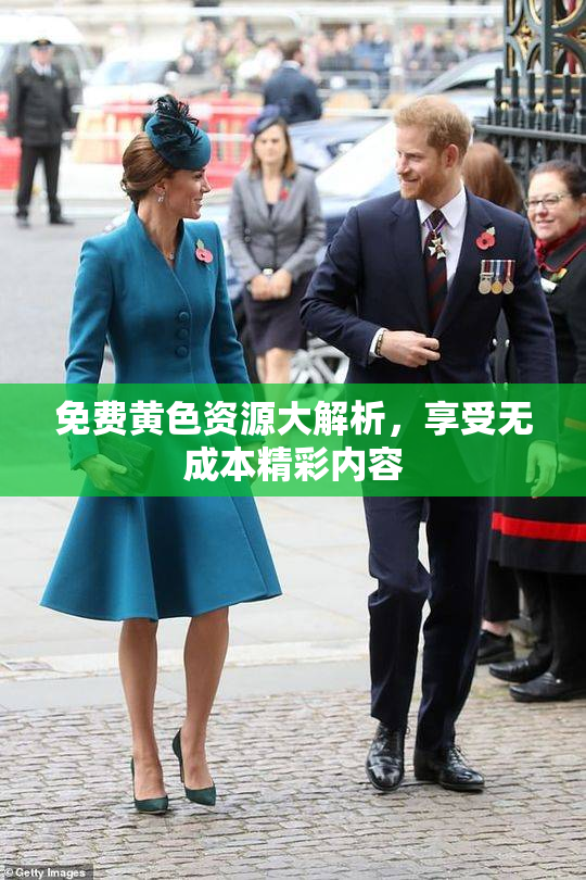 免费黄色资源大解析，享受无成本精彩内容
