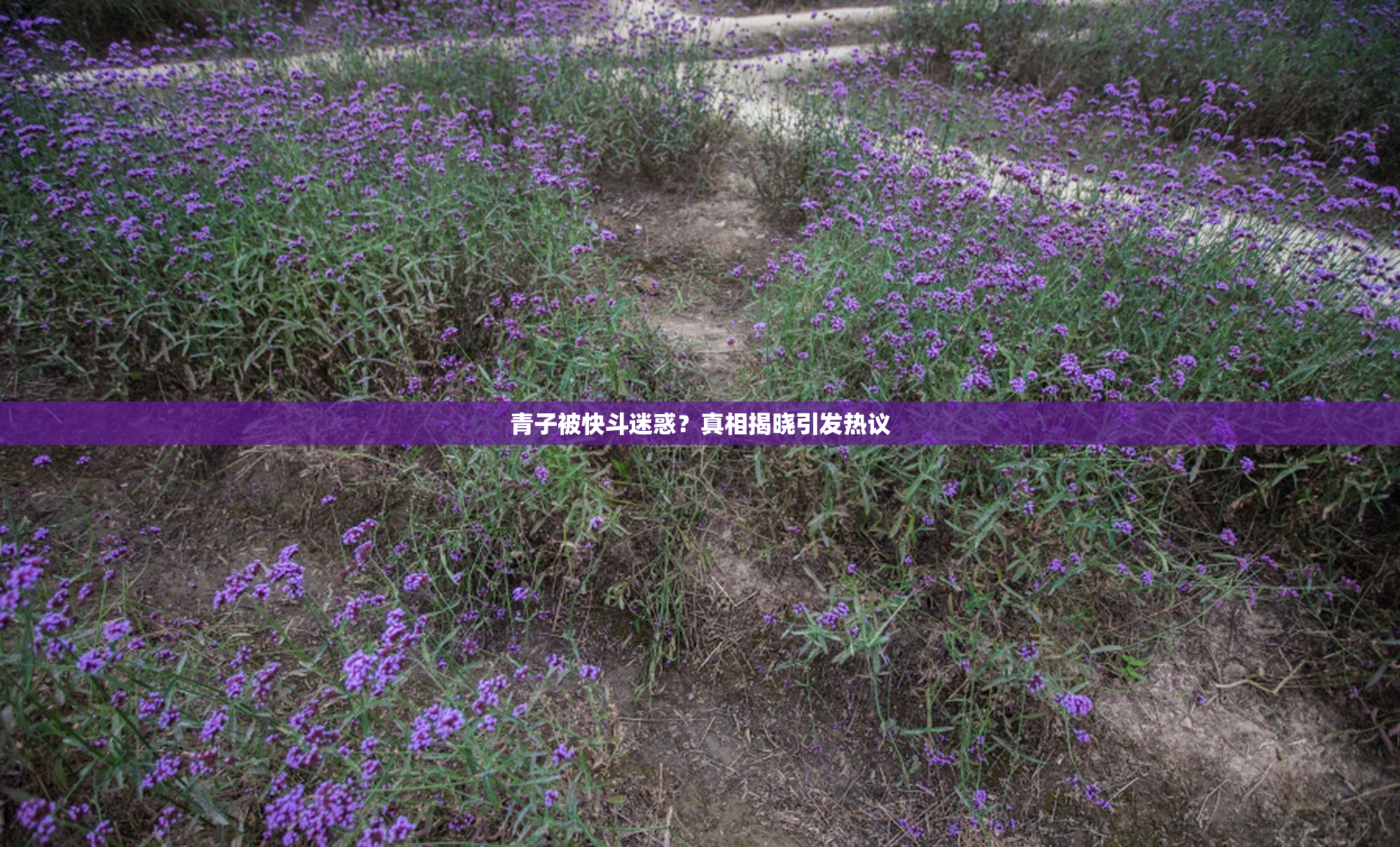 青子被快斗迷惑？真相揭晓引发热议