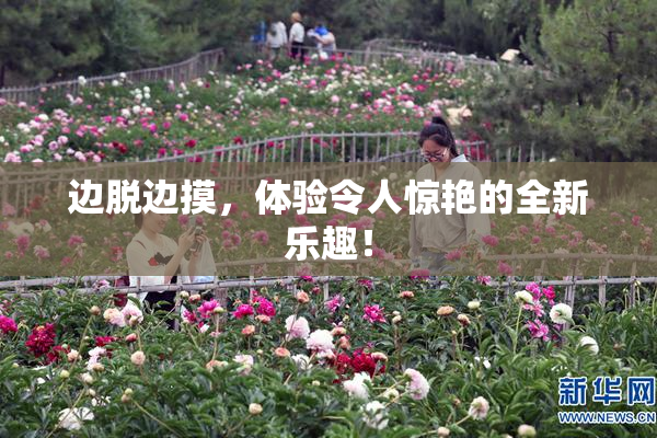 边脱边摸，体验令人惊艳的全新乐趣！