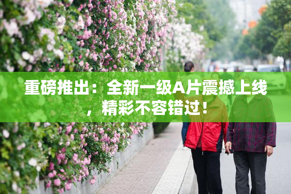 重磅推出：全新一级A片震撼上线，精彩不容错过！