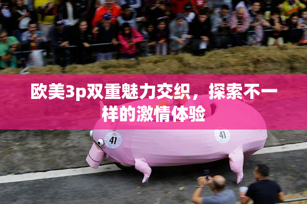 欧美3p双重魅力交织，探索不一样的激情体验