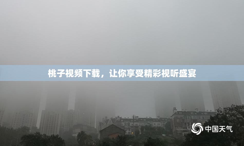 桃子视频下载，让你享受精彩视听盛宴