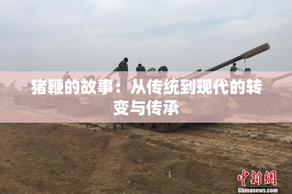 猪鞭的故事：从传统到现代的转变与传承