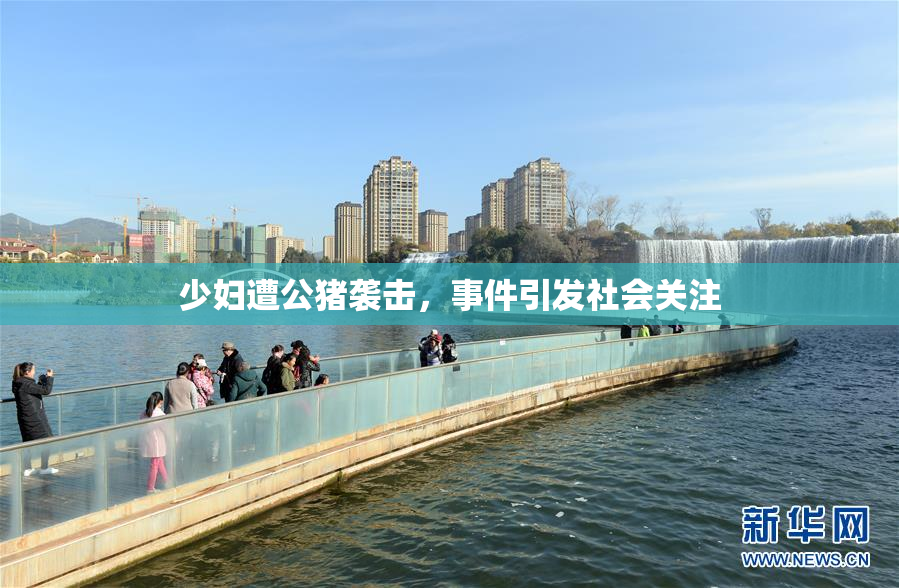 少妇遭公猪袭击，事件引发社会关注