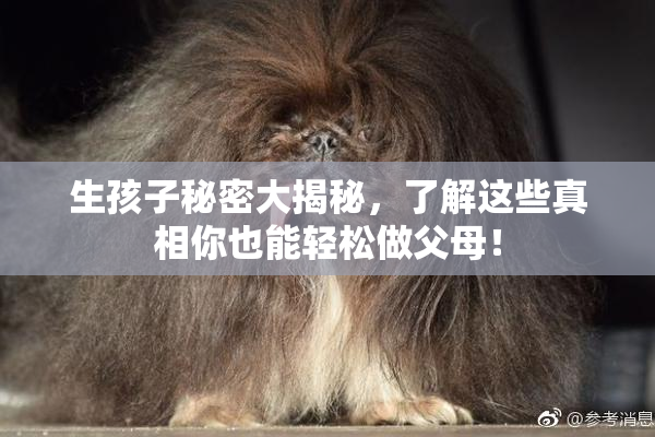 生孩子秘密大揭秘，了解这些真相你也能轻松做父母！
