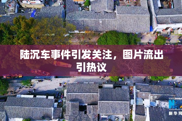陆沉车事件引发关注，图片流出引热议