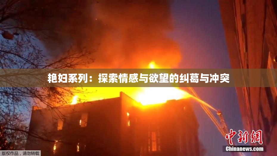艳妇系列：探索情感与欲望的纠葛与冲突