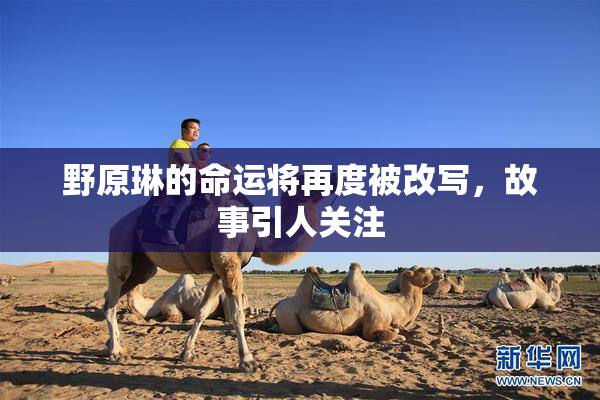 野原琳的命运将再度被改写，故事引人关注