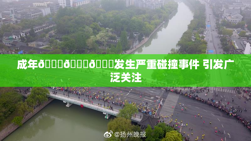 成年🍆🍑🔞发生严重碰撞事件 引发广泛关注