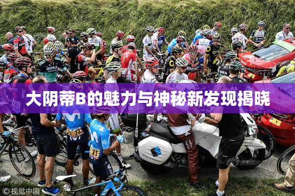 大阴蒂B的魅力与神秘新发现揭晓