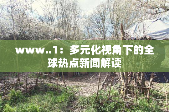 www..1：多元化视角下的全球热点新闻解读