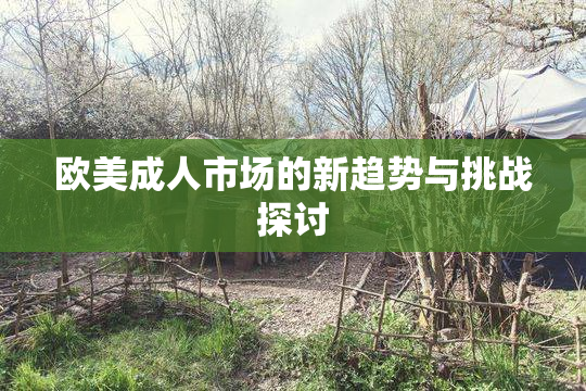欧美成人市场的新趋势与挑战探讨
